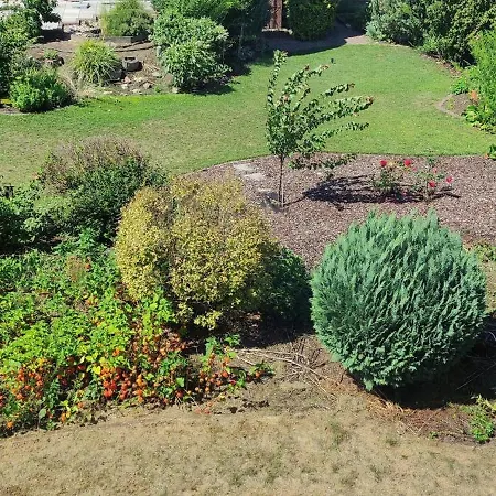 House Garden Close To Frankfurt Airport Groß-Gerau
